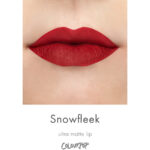 Snowfleek - Image 2