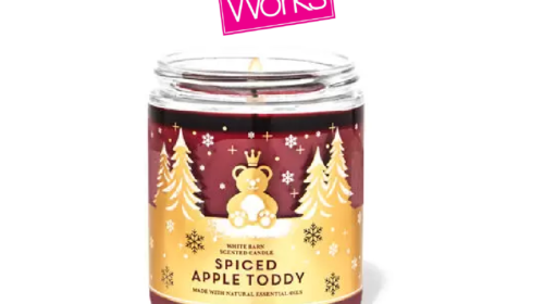 SPICED APPLE TODDY 1-Wick Candle