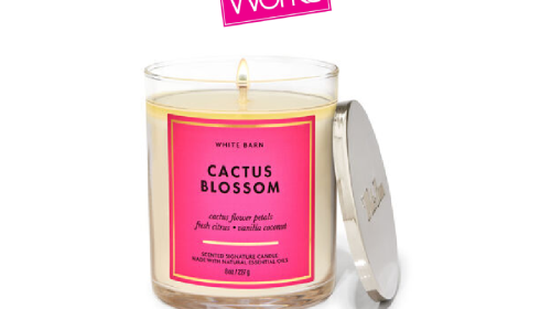 White Barn Cactus Blossom Signature Single Wick Candle