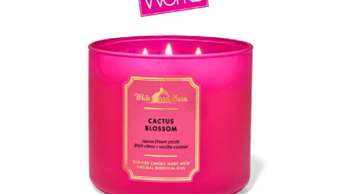 White Barn Cactus Blossom 3-Wick Candle