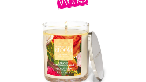 Brightest Bloom Signature Single Wick Candle