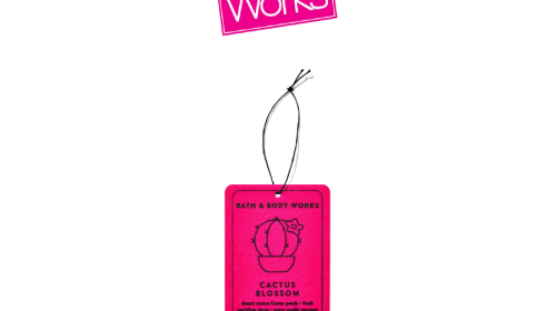 Cactus Blossom Hanging Fragrance Diffuser