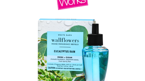 Eucalyptus Rain Wallflowers Refills 2-Pack