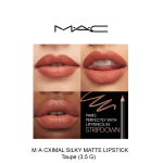 M·A·CXIMAL SILKY MATTE LIPSTICK- TAUPE - Image 4