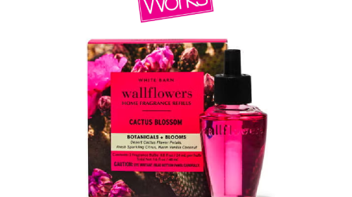Cactus Blossom Wallflowers Refills 2-Pack