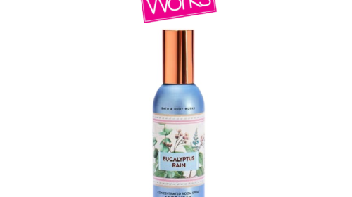 Eucalyptus Rain Concentrated Room Spray