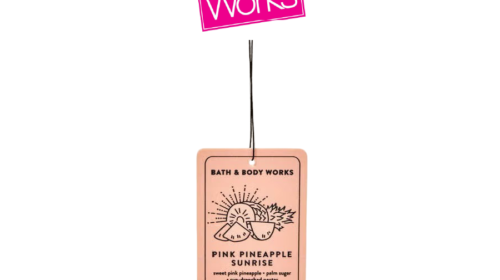 Pink Pineapple Sunrise Hanging Fragrance Diffuser