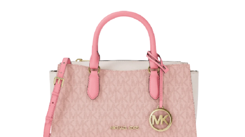 Arden Small Color-Block Signature Logo Messenger Bag